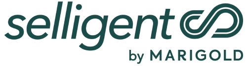 Agence Selligent by Marigold