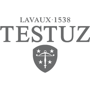 Logo_TESTUZ_GRIS